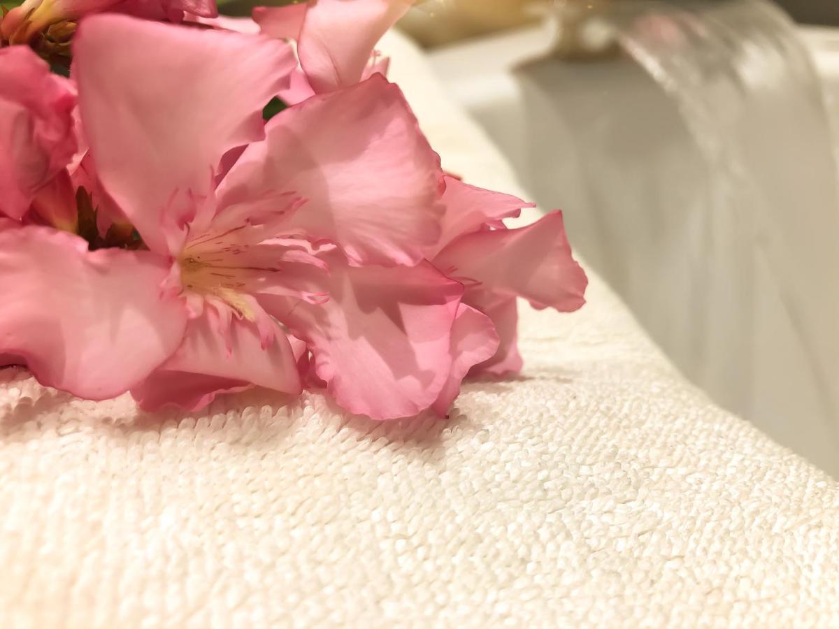 Hotel Arifi Σκόδρα Εξωτερικό φωτογραφία