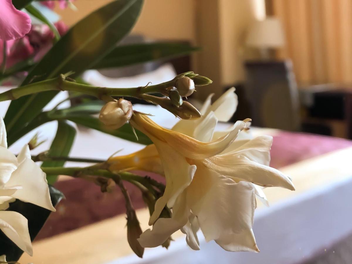 Hotel Arifi Σκόδρα Εξωτερικό φωτογραφία
