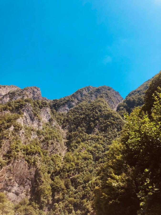 Hotel Arifi Σκόδρα Εξωτερικό φωτογραφία